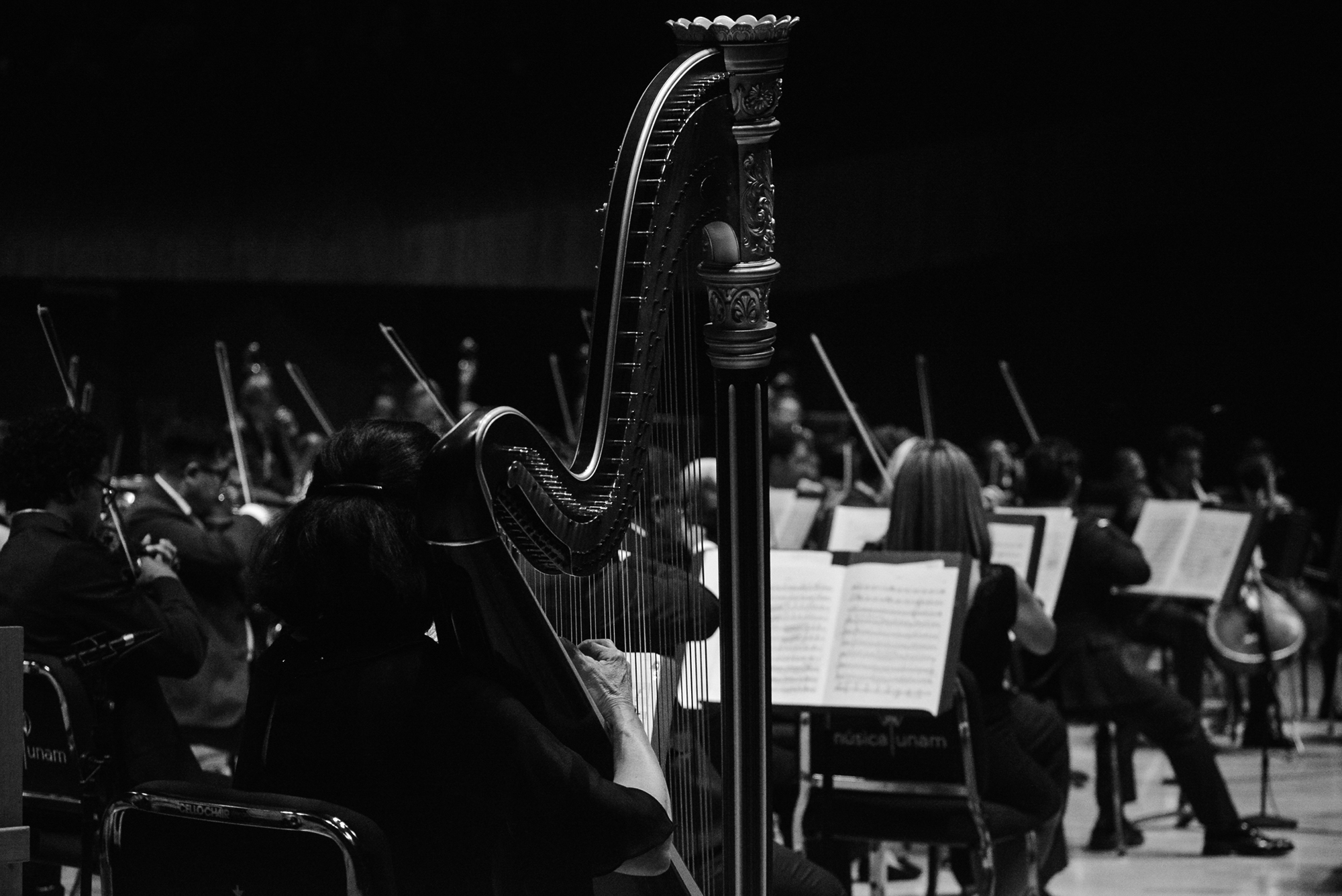 Festival internacional de piano | OFUNAM | Primera temporada 2025 | Programa extraordinario | Charla previa