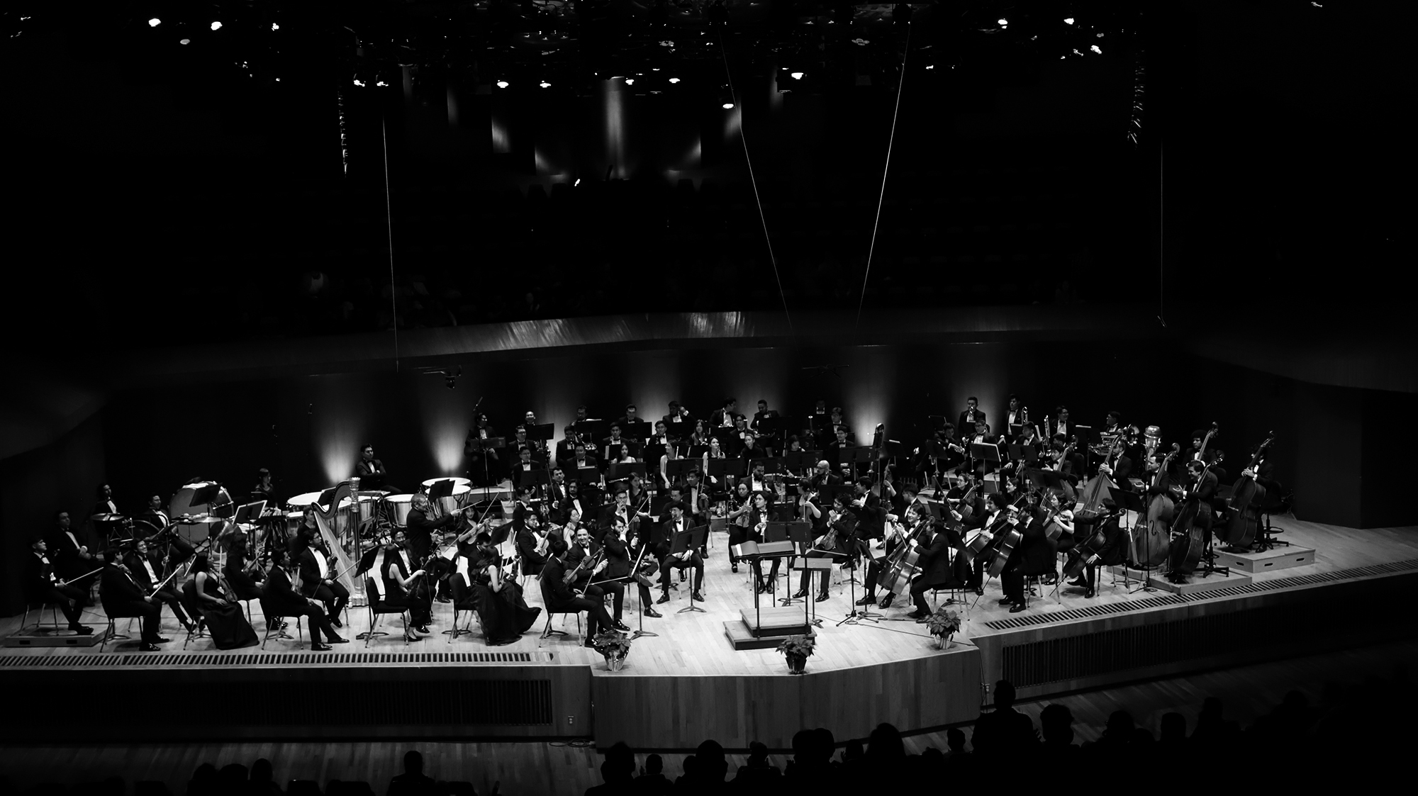 OJUEM | Conciertos de verano 2025 | Programa 1